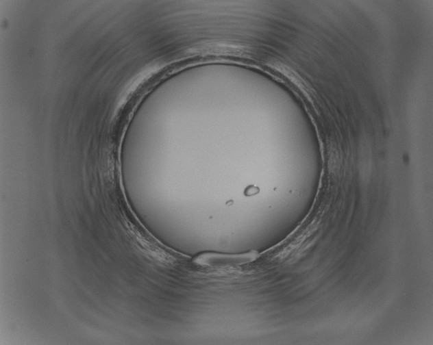 X0000073481115200608211618