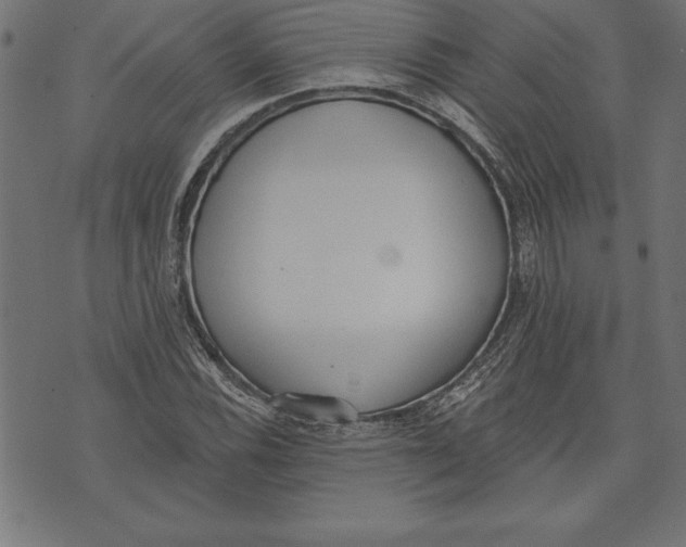 X0000073481116200608211618