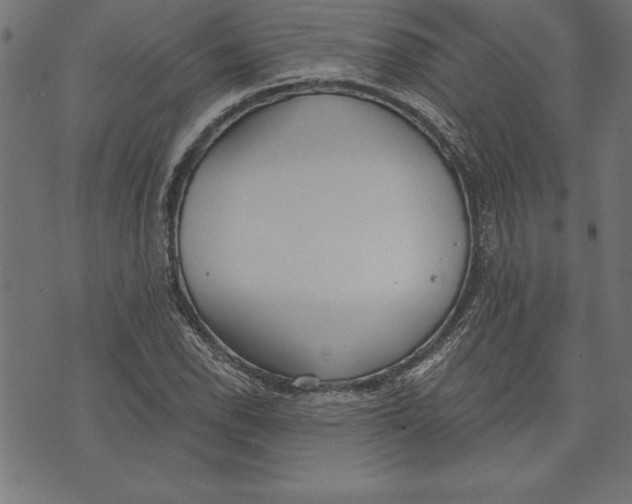 X0000073481118200608211618