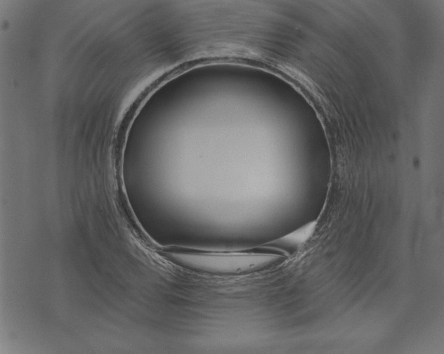 X0000073481120200608211618