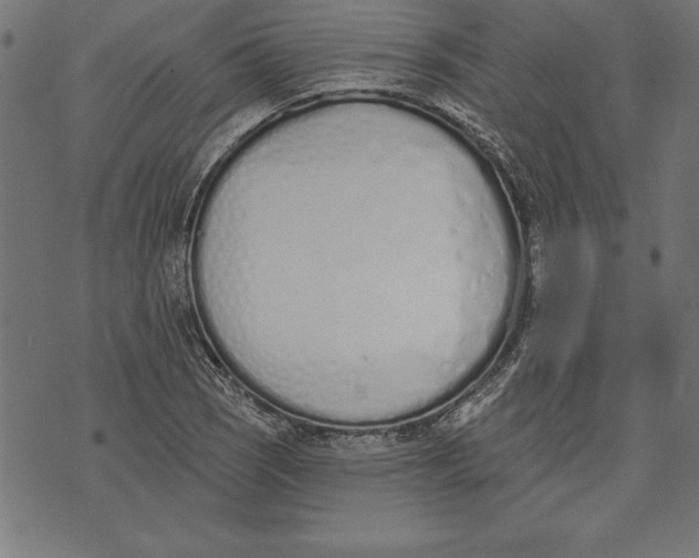 X0000073481121200608211618