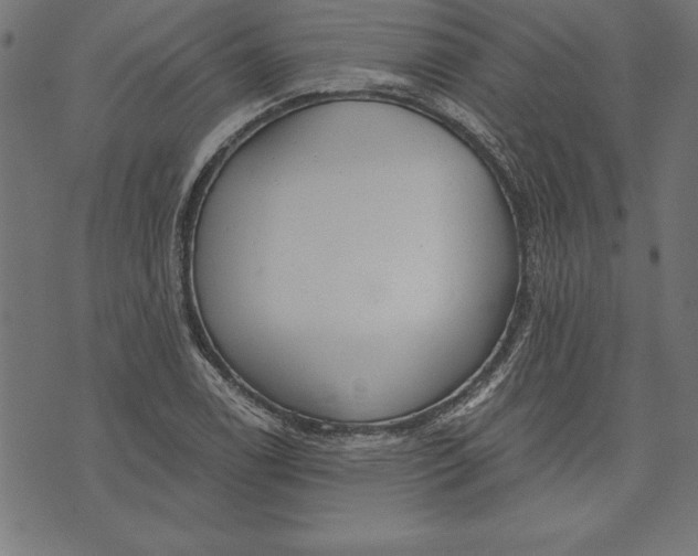 X0000073481122200608211618