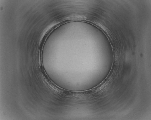 X0000073481123200608211618