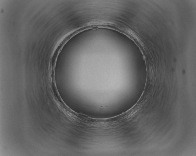 X0000073481124200608211618