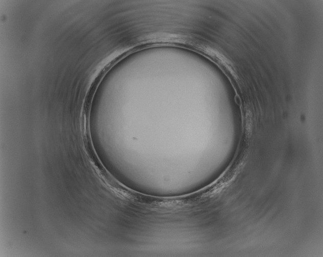 X0000073481125200608211618