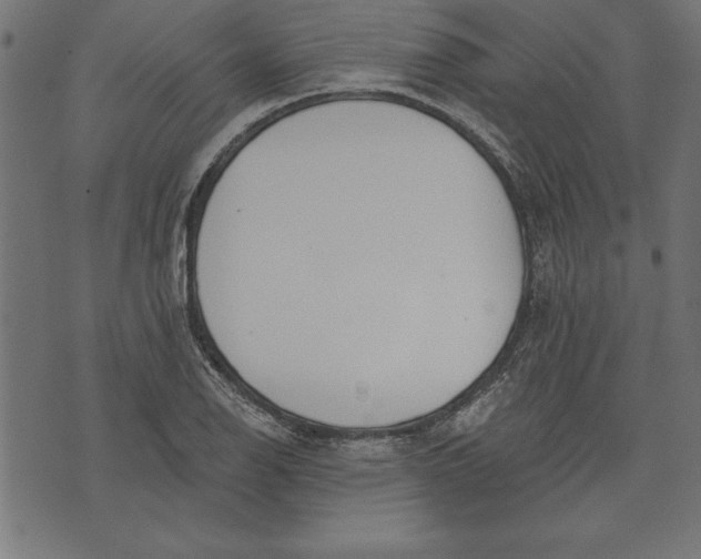 X0000073481126200608211618