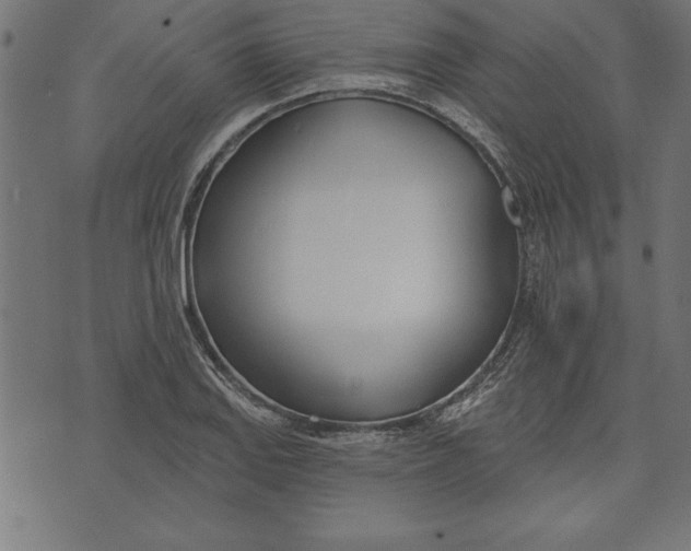 X0000073481127200608211618