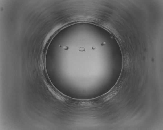 X0000073481128200608211618