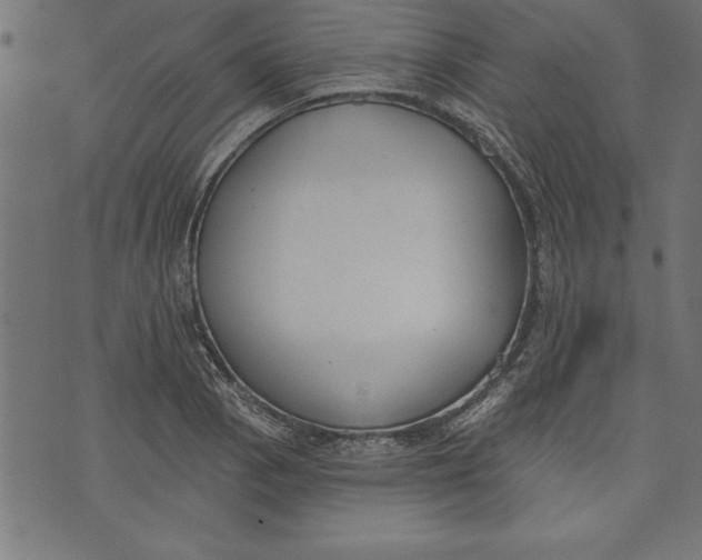 X0000073481129200608211618