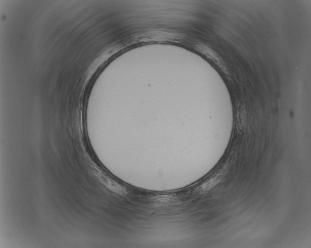 X0000073481130200608211618