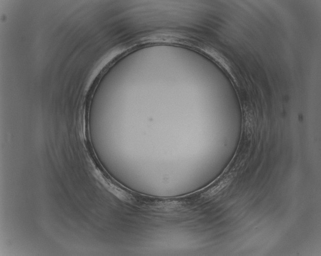 X0000073481131200608211618