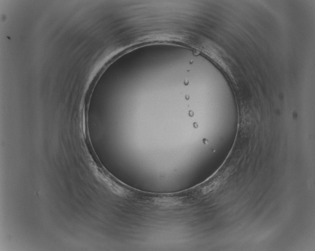 X0000073481132200608211618