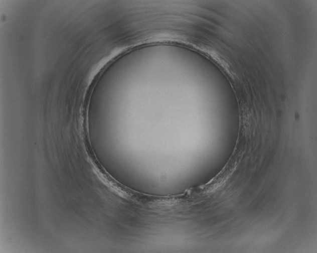 X0000073481134200608211618