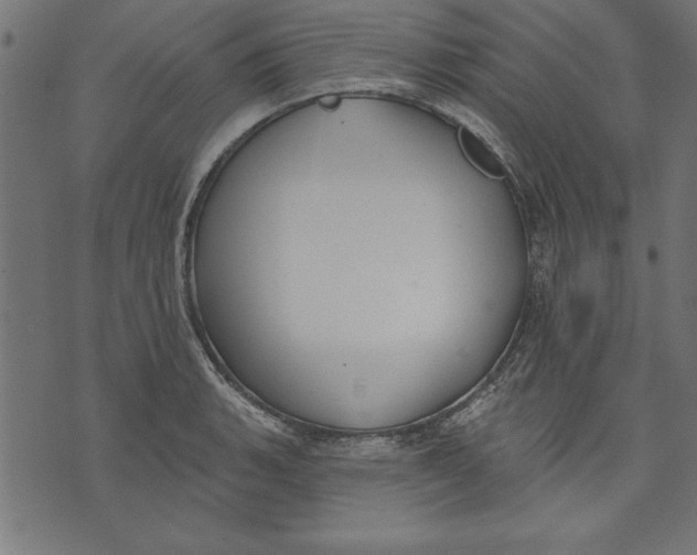 X0000073481135200608211618