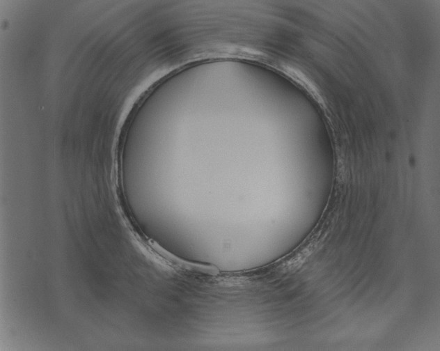 X0000073481136200608211618