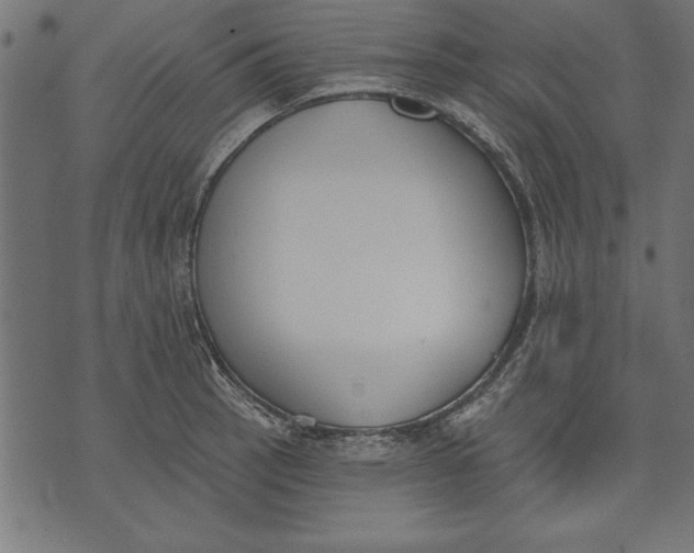 X0000073481137200608211618