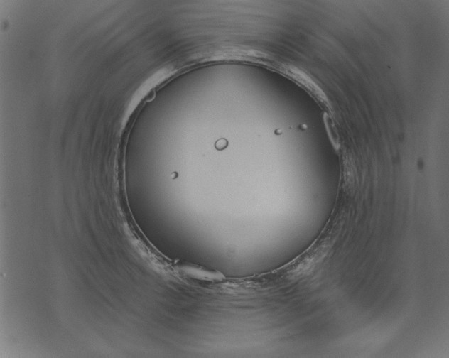 X0000073481138200608211618