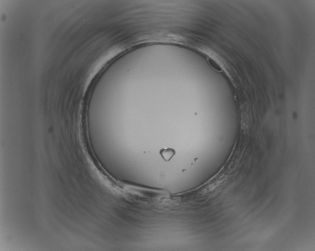 X0000073481139200608211618