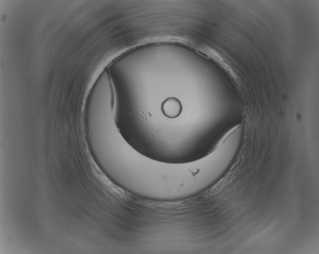 X0000073481140200608211618