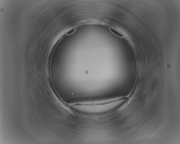 X0000073481141200608211618