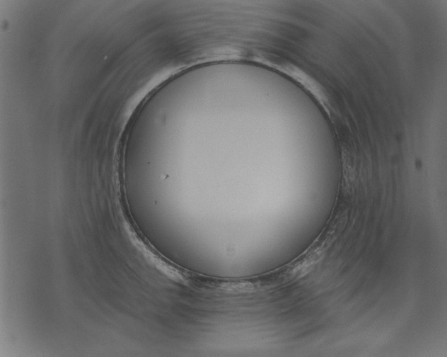 X0000073481142200608211618