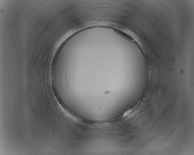 X0000073481143200608211618