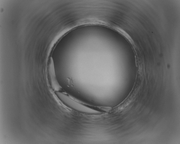 X0000073481144200608211618