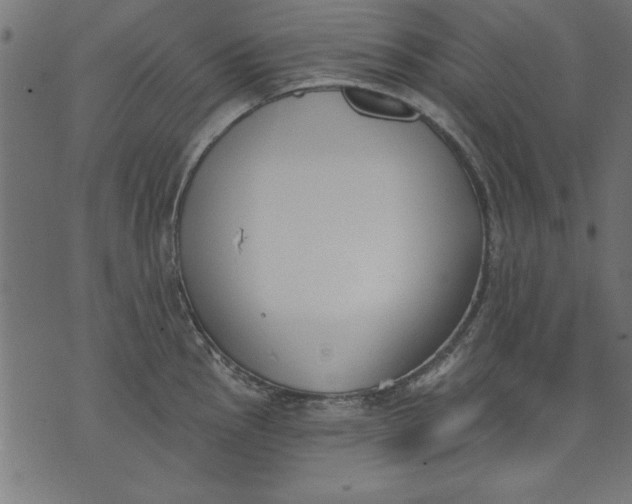 X0000073481145200608211618