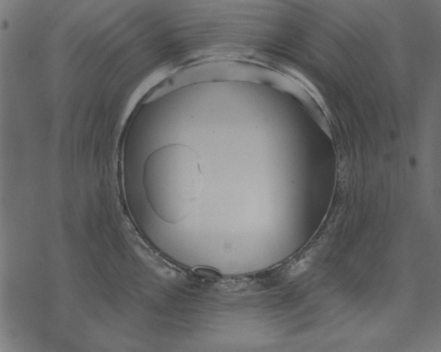 X0000073481146200608211618