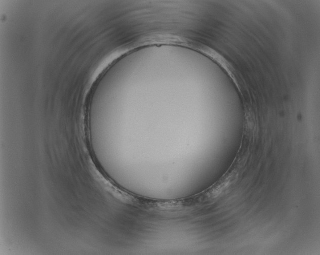 X0000073481147200608211618