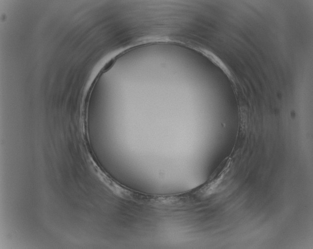 X0000073481148200608211618