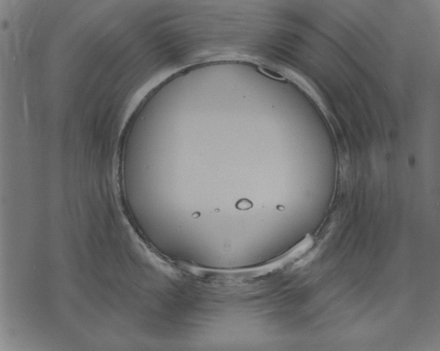 X0000073481149200608211618