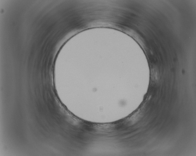 X0000073481150200608211618