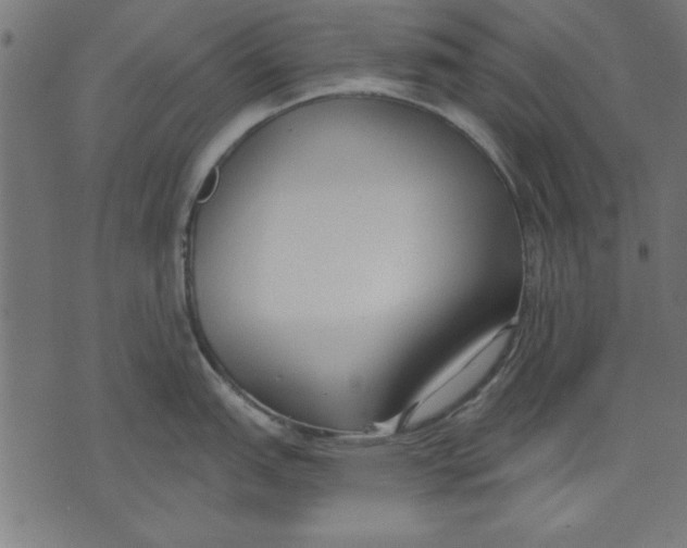 X0000073481151200608211618