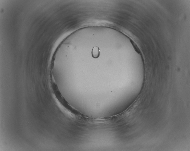 X0000073481152200608211618