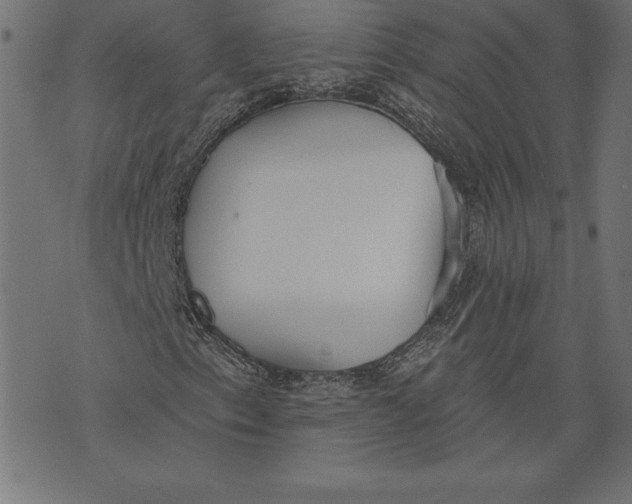 X0000073481153200608211618