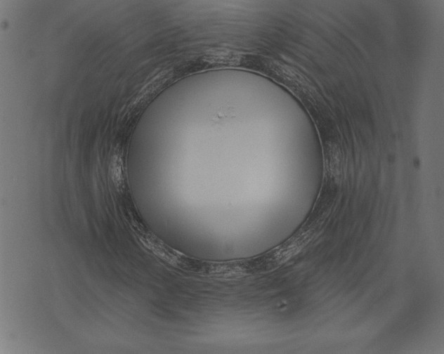 X0000073481154200608211618