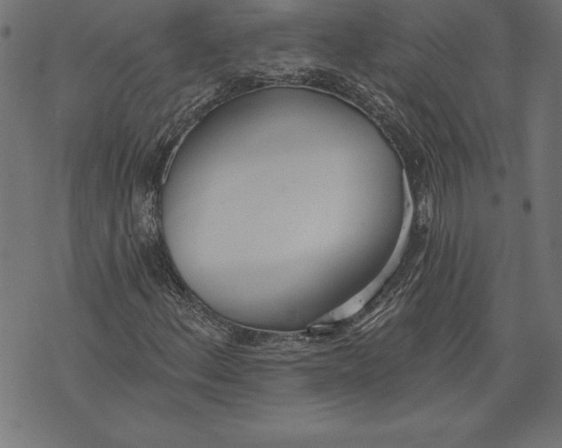 X0000073481156200608211618