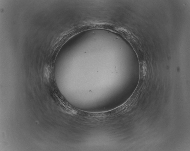 X0000073481157200608211618