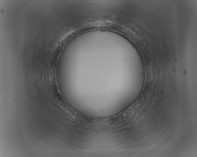 X0000073481158200608211618