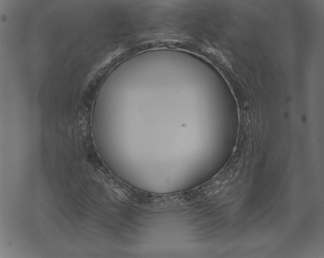 X0000073481159200608211618