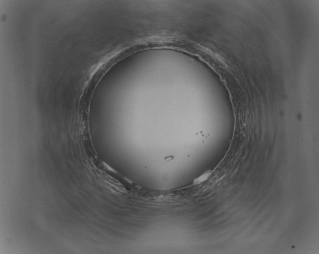 X0000073481160200608211617