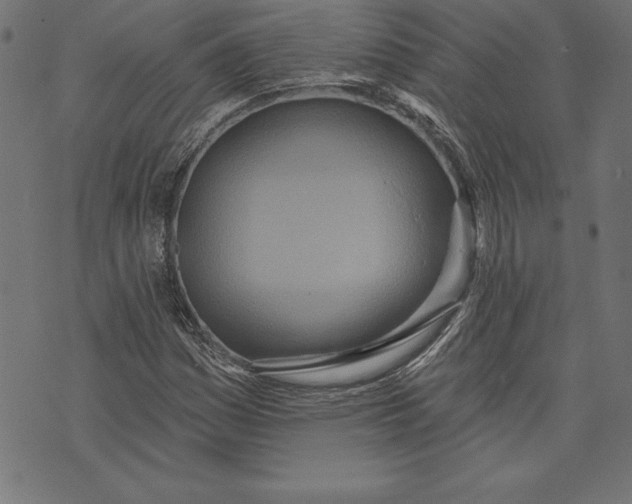 X0000073481161200608211617