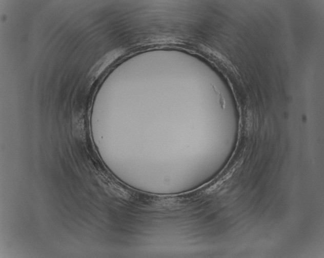 X0000073481162200608211617