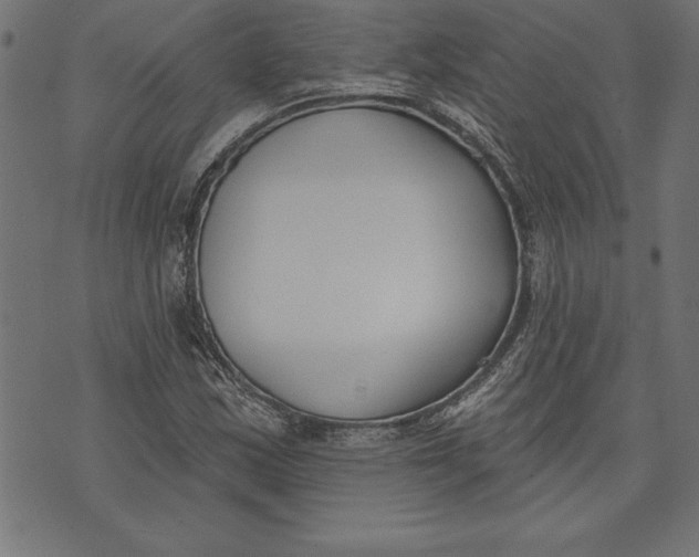 X0000073481163200608211617