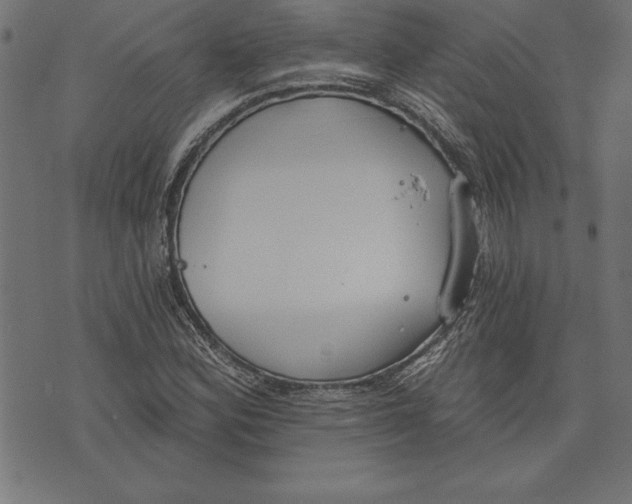 X0000073481164200608211617