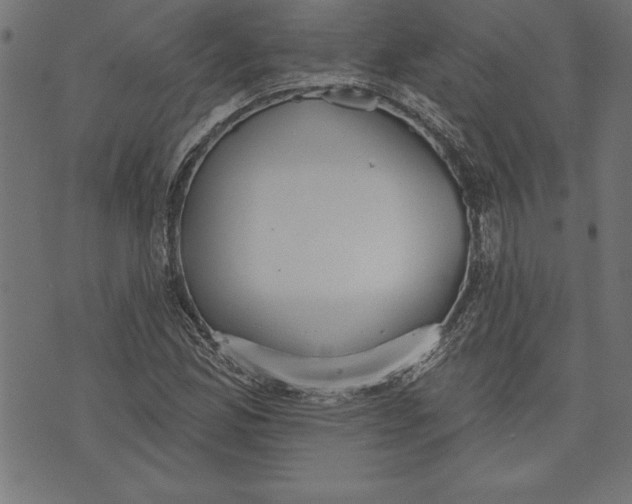 X0000073481165200608211617