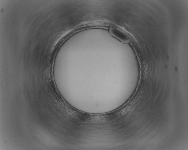 X0000073481166200608211617