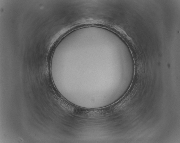 X0000073481167200608211617