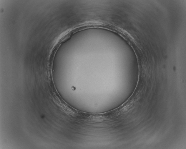 X0000073481168200608211617